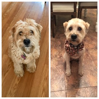 Hound Around Resort 25 Photos 10 Reviews Pet Groomers 8607