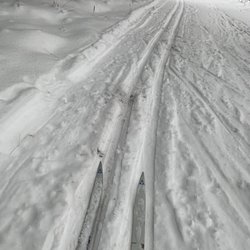 Canterbury Farm - My skis on the trail