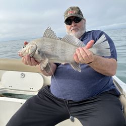 Outlaw Fishing Charters