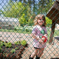 The Grove School of Cary NC
