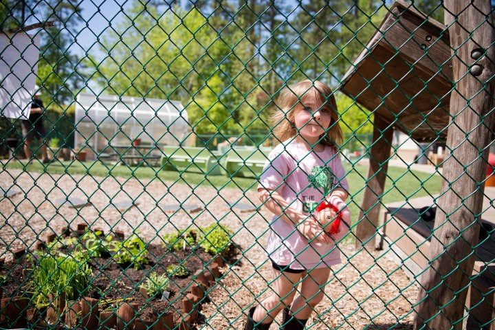 The Grove School of Cary NC - childcare center in Cary, NC