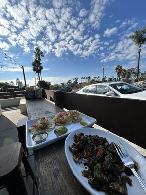 Fish 101 by null Fish 101 by null