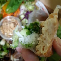 Spring Rolls Spring Rolls