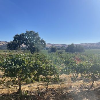 Las Positas Vineyards - Outside - Wineries Near Me - Livermore, California Las Positas Vineyards - Outside - Wineries Near Me - Livermore, California