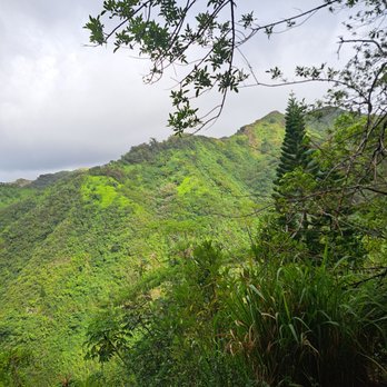 Kuliouou Ridge Trail - Hiking Near Me - Honolulu, Hawaii Kuliouou Ridge Trail - Hiking Near Me - Honolulu, Hawaii