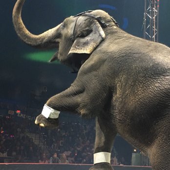 UniverSoul Circus - Performing Arts Near Me UniverSoul Circus - Performing Arts Near Me