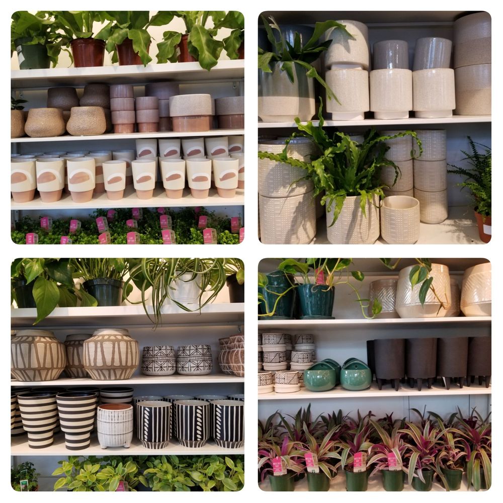 Dennis' 7 Dees Garden Centers - Pots in every style. Something for every house. - Nurseries & Gardening Near Me - Tigard, Oregon