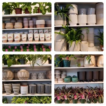 7 Dees - Pots in every style. Something for every house. - Nurseries & Gardening Near Me - Tigard, Oregon