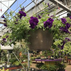 Horton's Nursery