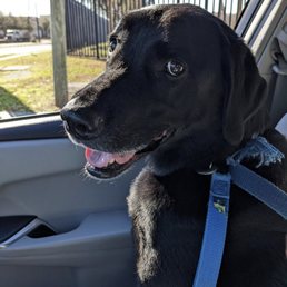 My dog actually gets excited to go get treats at this vet clinic!