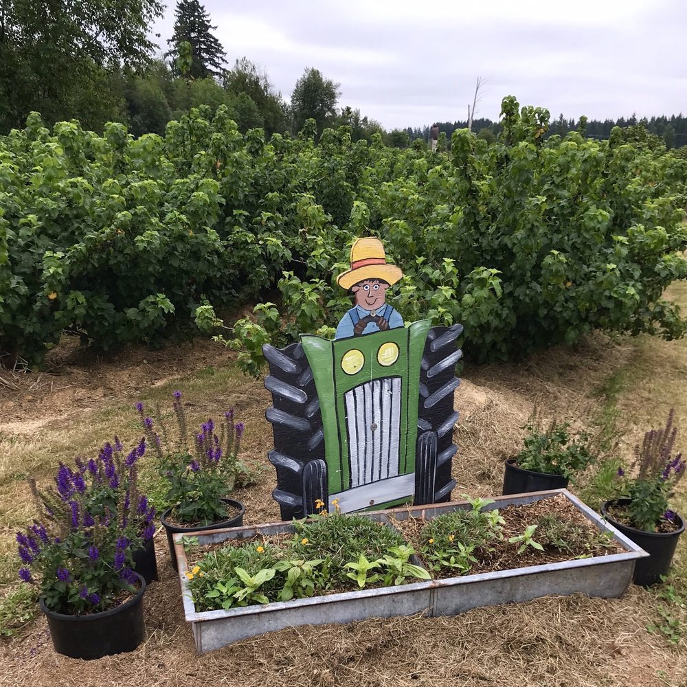 Valentina Farm - Bryant Blueberry Farm - Farmers Market Near Me - Arlington, Washington