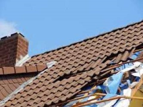 Slide of Winter Garden Roof Repair