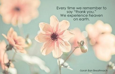 Elena's Skin Care Studio Logo