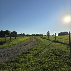 Zip-it Lawn Care - Another happy customer!
We love what we do!