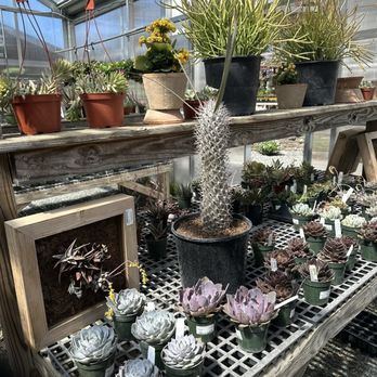 For Garden's Sake - Nurseries & Gardening Near Me - Durham, North Carolina For Garden's Sake - Nurseries & Gardening Near Me - Durham, North Carolina