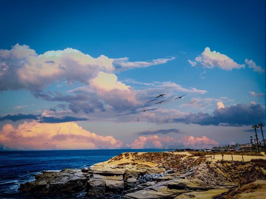 Sunset Cliffs Coastal Trail (Linear Park) by null