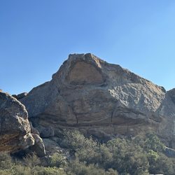 Lizard's Mouth