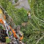 Photo of High Top Tree Service & Landcare