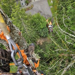 High Top Tree Service & Landcare