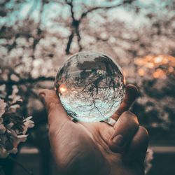 Aligned & Divine Mediumship