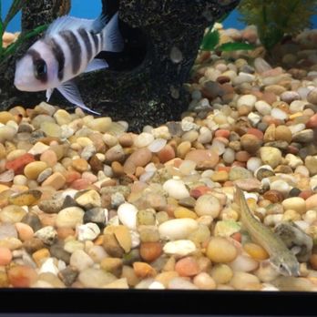 Pet Supplies Plus Clovis - Pet Stores Near Me - Clovis, California Pet Supplies Plus Clovis - Pet Stores Near Me - Clovis, California
