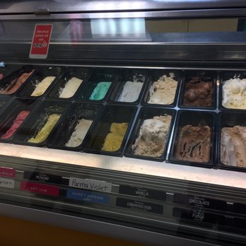 The Magic Cow - Ice Cream & Frozen Yogurt Near Me - Davie, Florida The Magic Cow - Ice Cream & Frozen Yogurt Near Me - Davie, Florida