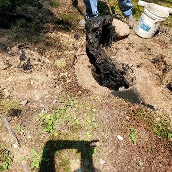 Brunt Bottomfeeders Septic Pumping - Septic Services Near Me Brunt Bottomfeeders Septic Pumping - Septic Services Near Me