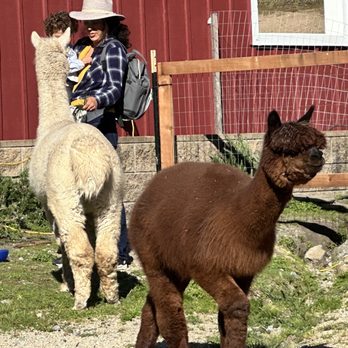 R2 Hillside Ranch - Ranches Near Me - Watsonville, California