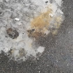 Auto Care Plus Tire & Service - Oil on the ground where my car was parked.