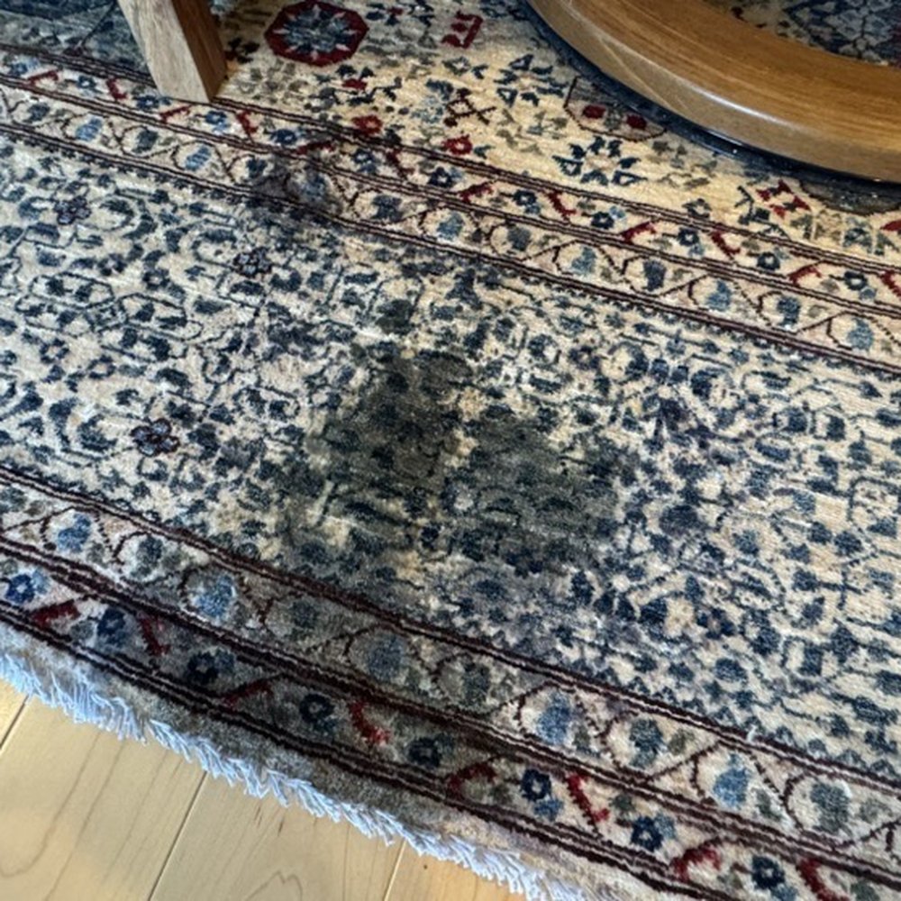 Shirvan Rug Gallery - Here's the red wine stain. - Carpeting Near Me - Bainbridge Island, Washington Shirvan Rug Gallery - Here's the red wine stain. - Carpeting Near Me - Bainbridge Island, Washington