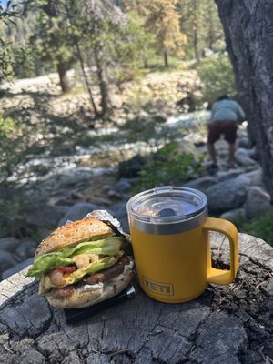 Lodgepole Campground by null