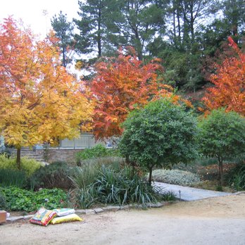 Modified Landscape Design - Landscaping Near Me - San Carlos, California