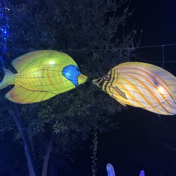 Tianyu Lights Festival - Festivals Near Me - Phoenix, Arizona Tianyu Lights Festival - Festivals Near Me - Phoenix, Arizona