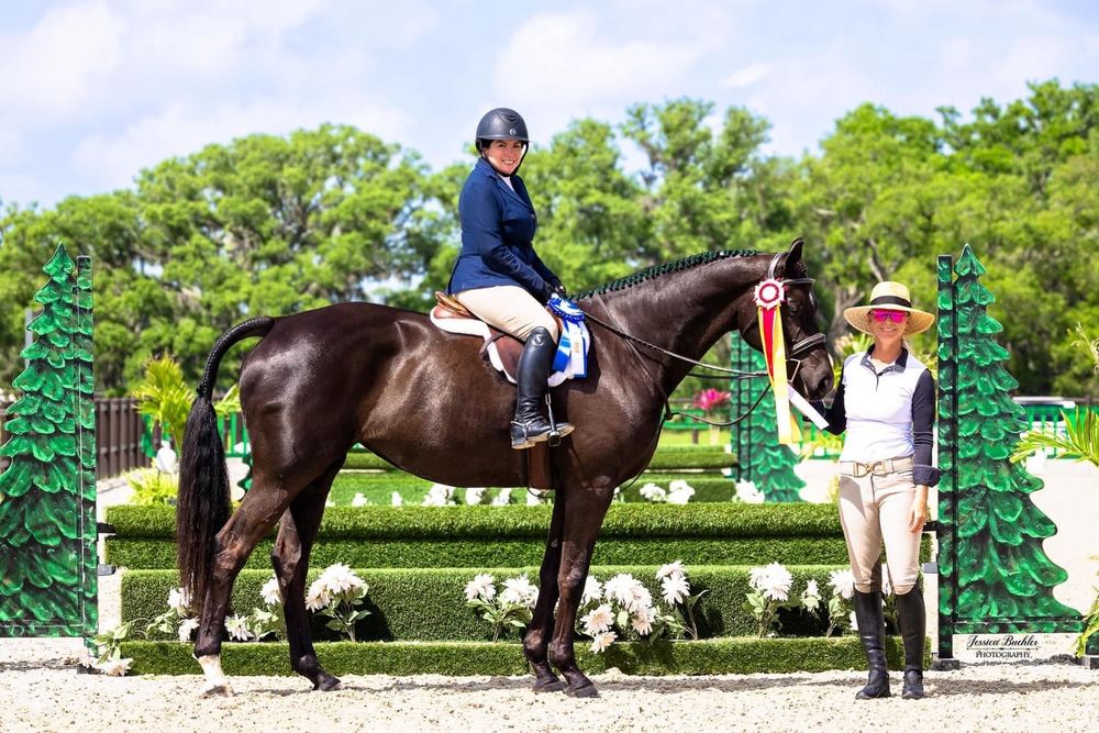 MK Sporthorses - equestrian in Zephyrhills, FL