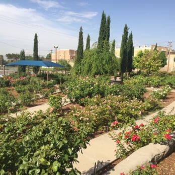 Rose Garden - Botanical Gardens Near Me - El Paso, Texas