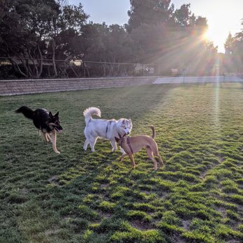 Newbark Dog Park - Dog Parks Near Me - Newark, California Newbark Dog Park - Dog Parks Near Me - Newark, California