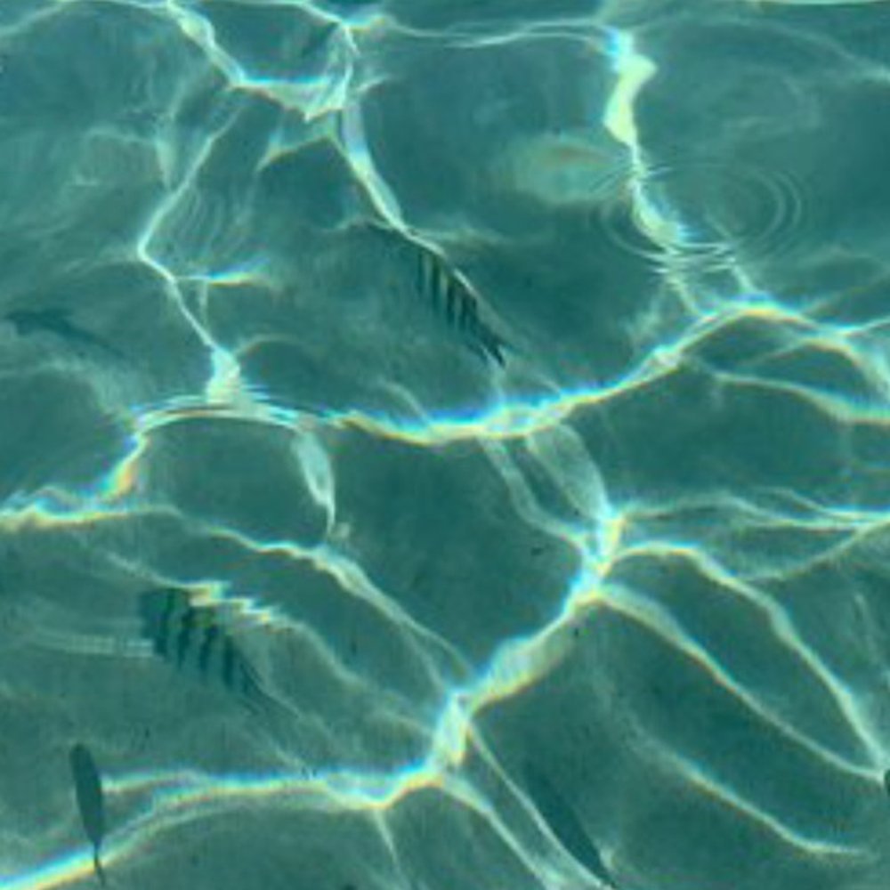Coki Beach - Beaches Near Me - St Thomas, Virgin Islands Coki Beach - Beaches Near Me - St Thomas, Virgin Islands