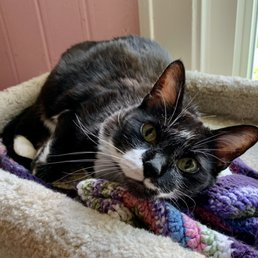 Bella