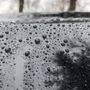 Photo of Wheeler's Wash N' Wax