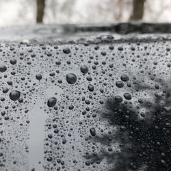 Wheeler's Wash N' Wax - Waxes, sealants, coatings. You want it, we got it. Book your appointment today to get awesome results