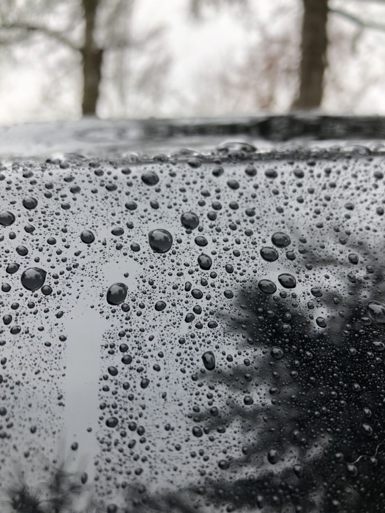 WHEELER’S WASH N’ WAX Updated October 2024 Eugene, Oregon Auto