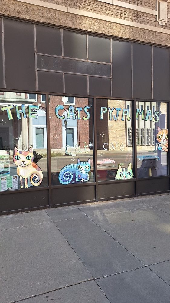 The Cats' Pyjamas Cat Café