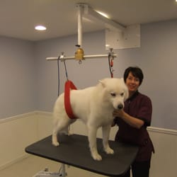 Wheeler's Pet Grooming - Ges with warm hearted "Ice"