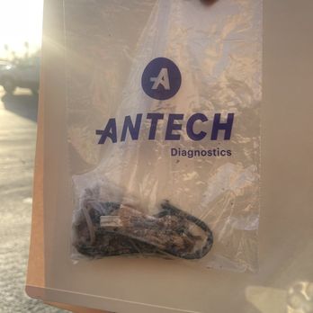 Pet Doctor - Stuff from Matcha's stomach - Veterinarians Near Me - Tucson, Arizona