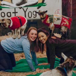 Original Goat Yoga- Oregon - Holiday Events
