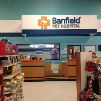 PetSmart - Pet Groomers Near Me - Georgetown, Texas