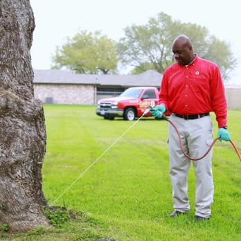 Coyle's Pest Control - Call and ask about our exterior only package. - Pest Control Near Me - Fresno, Texas Coyle's Pest Control - Call and ask about our exterior only package. - Pest Control Near Me - Fresno, Texas