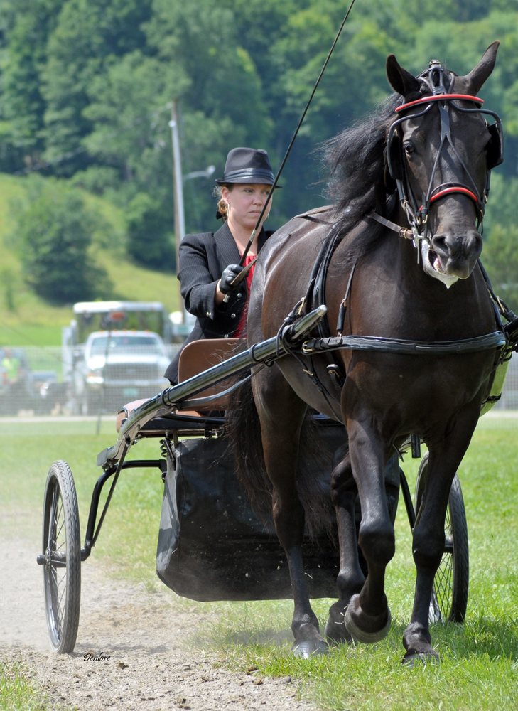 BROOK HILL CLASSIC Updated September 2024 16 Photos 854