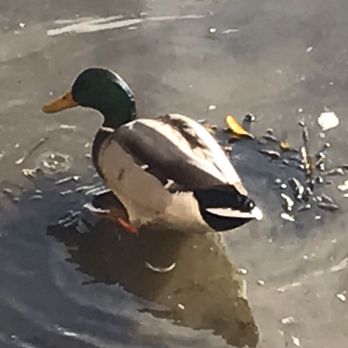 Margaritaville - Seafood Near Me - Capitola, California