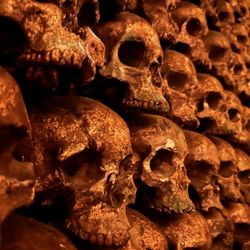 Noble Experiment - Skull wall